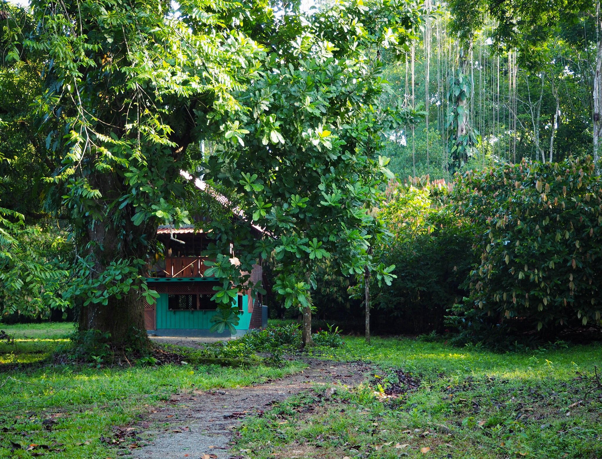 Casa Jungla Path