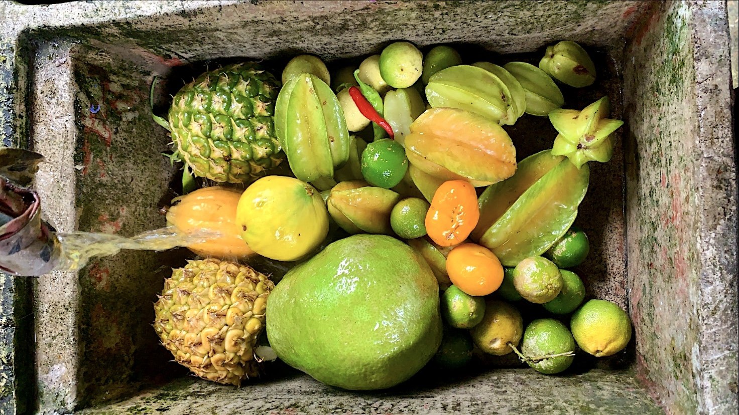 Garden Harvest