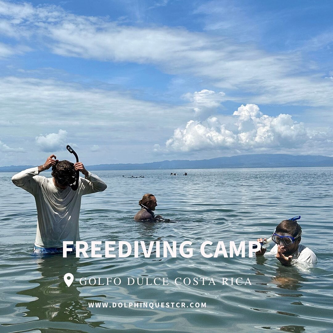 The Freediving Camp was a total success 💥

@jahwaterman and @reymar9 organized four exciting days of deep focus, deep breaths, deep dives, and much more! 

Topics in our freediving classes include: 

- Safety 
- Proper techniques 
- body pysiology
-