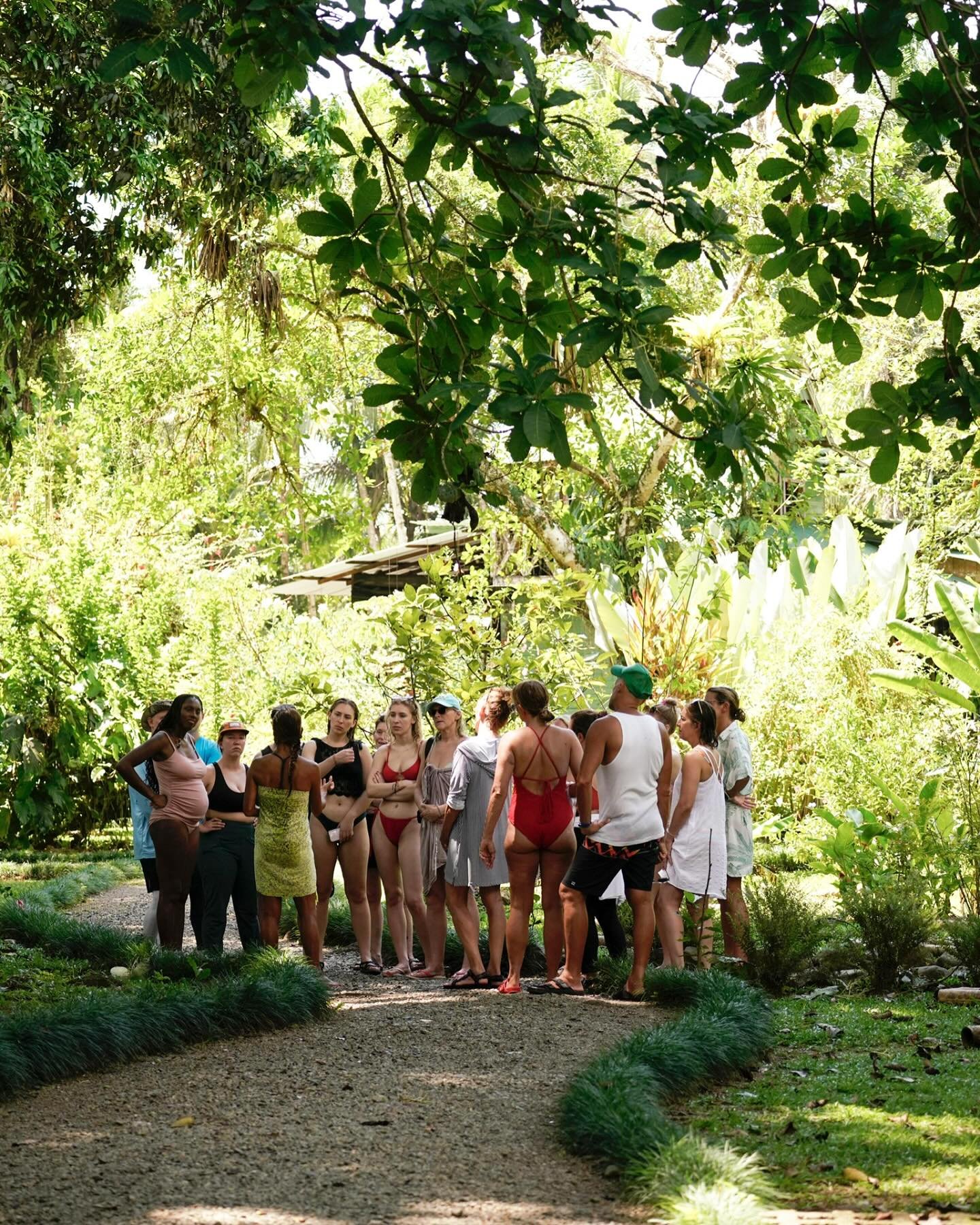 To explore nature is to honor her. Eco-tourism gives back to the Earth, to the people, and to our souls 🌿

Let&rsquo;s travel in a way that nourishes, not depletes.

@amyteresakhoo from @shootingstaryoga giving a tour of our property to guests durin