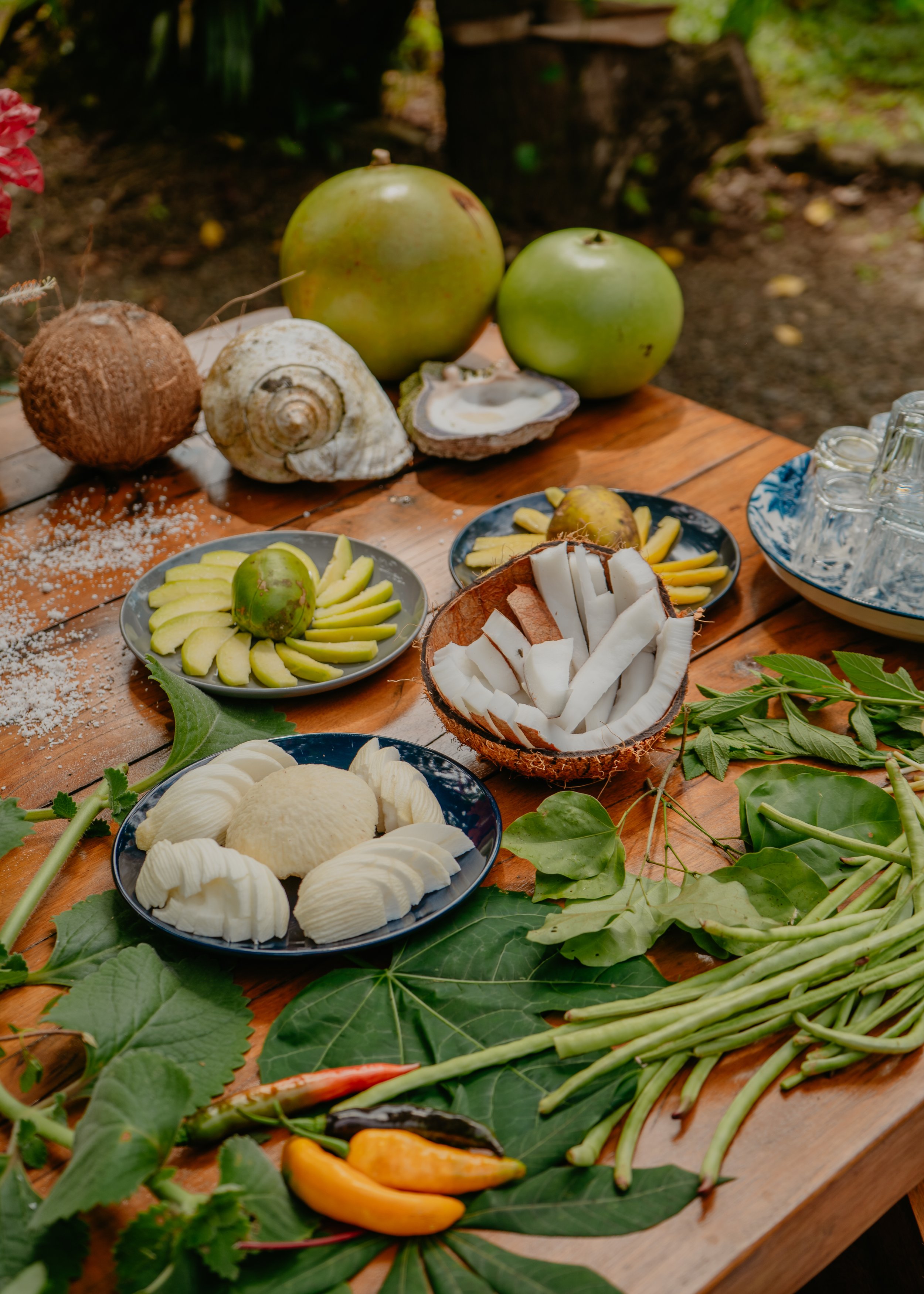 coconut_farmtotable_golfo_dulce.jpg