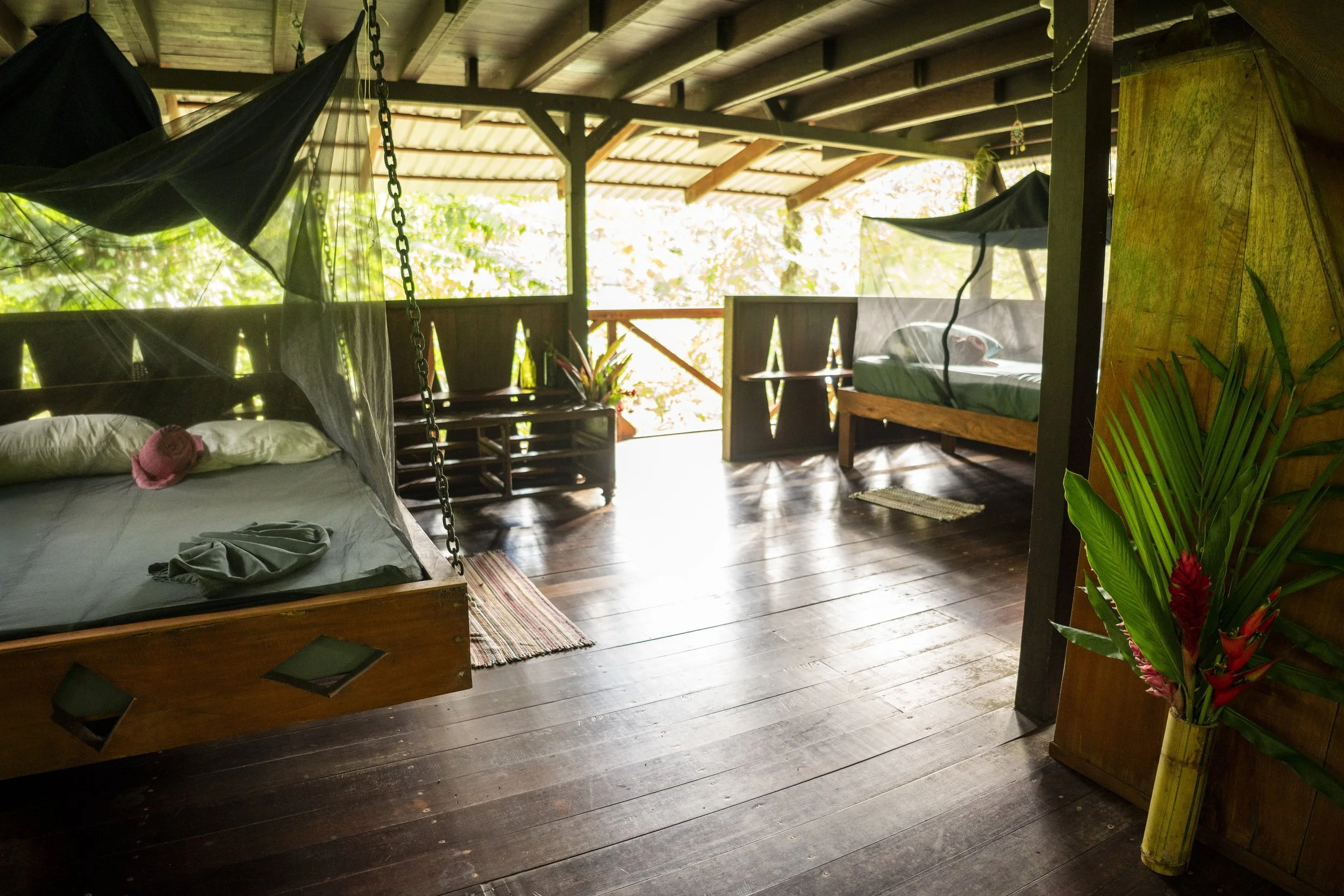 casajungla_dqjunglelodge8.jpg