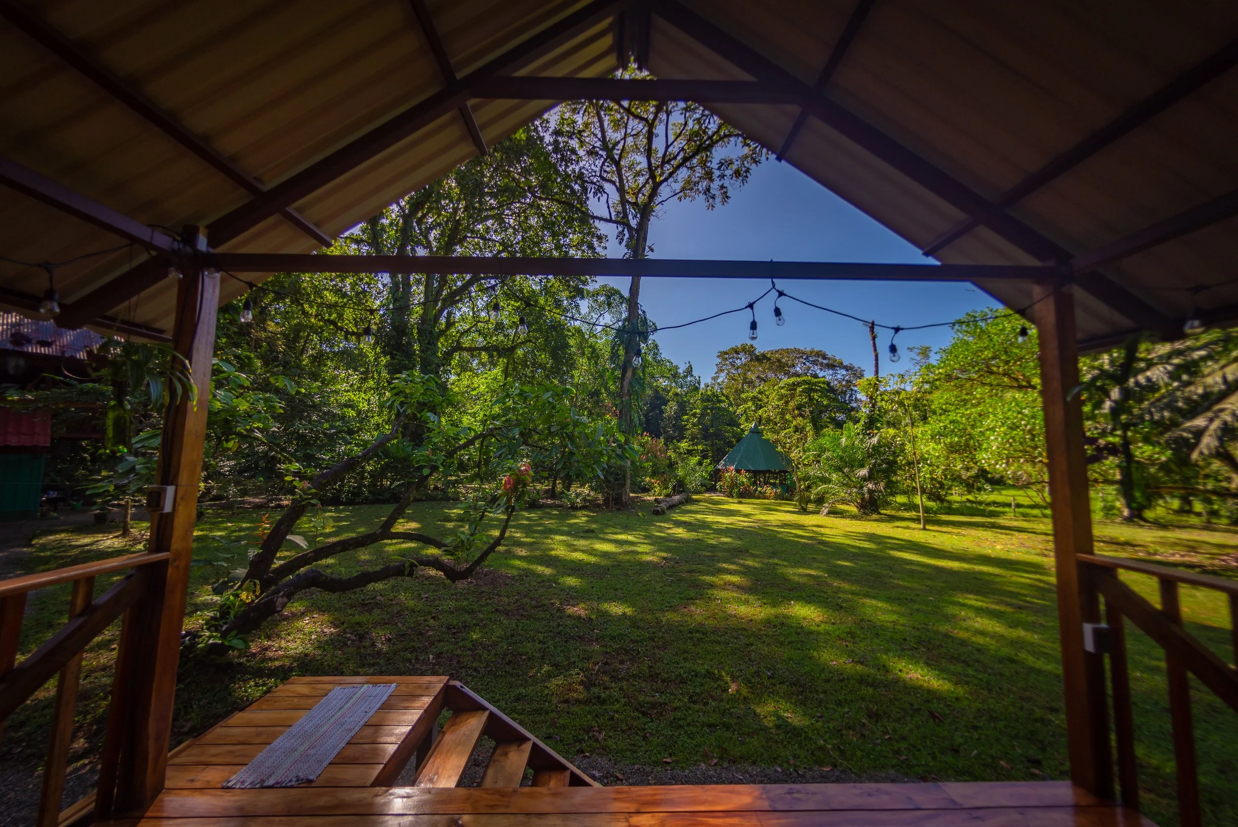 Copy of DSC_5360.JPG