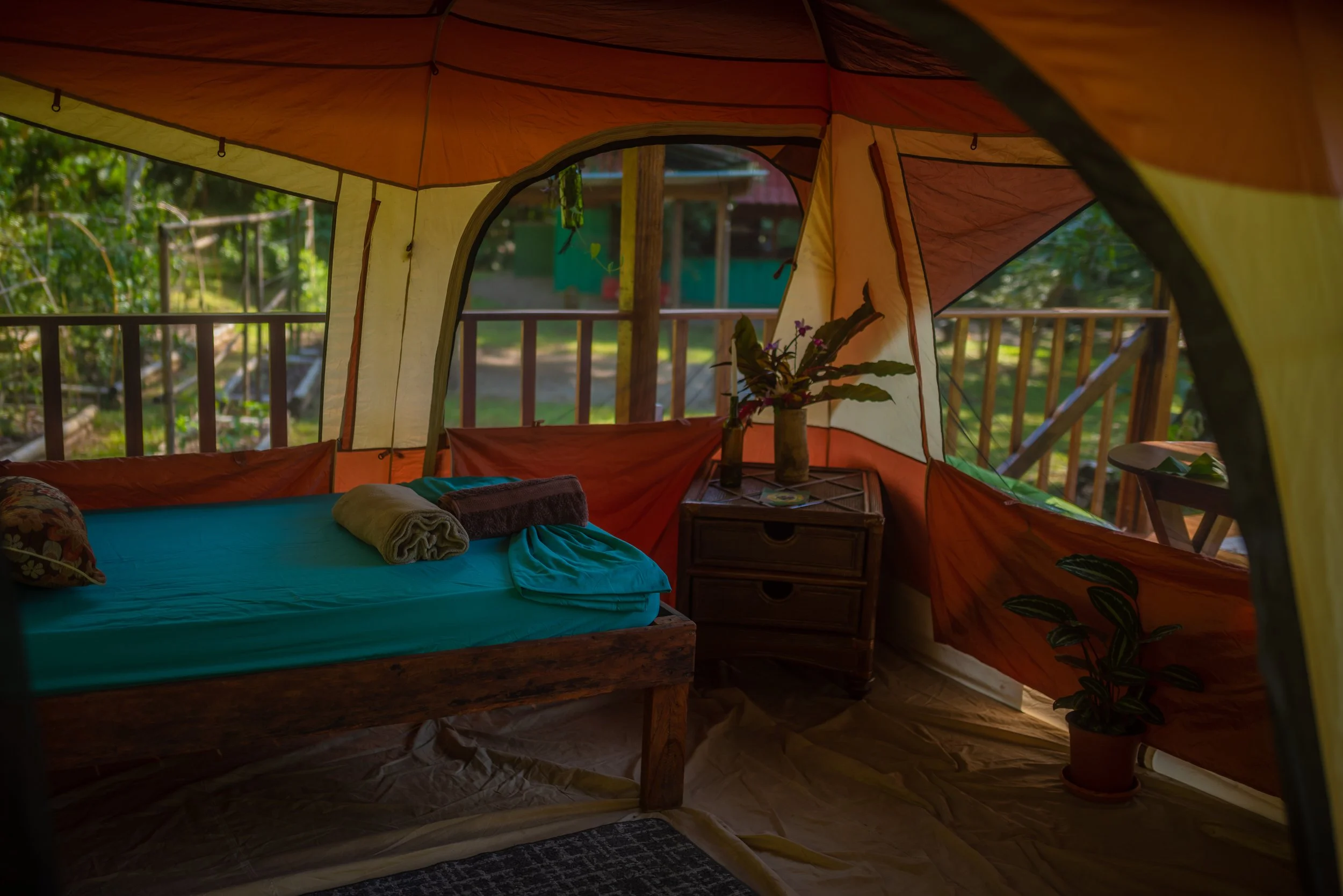 Copy of DSC_5395.JPG