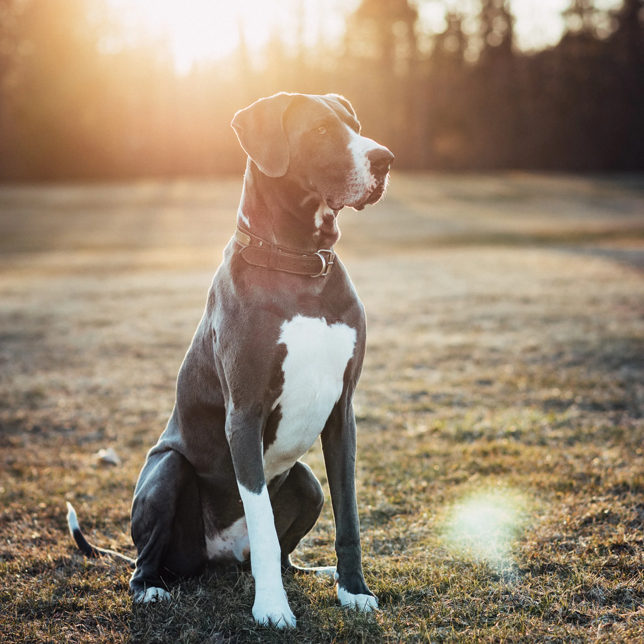 savitasittlerphotographyaboutme-6.jpg