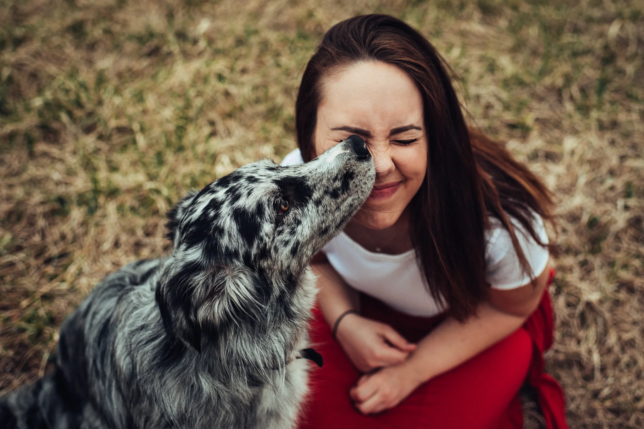 State-College-Pet-Portrait-Photographer-24.jpg