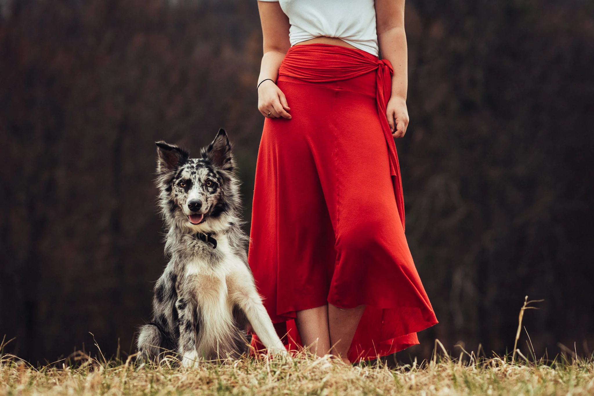 State-College-Pet-Portrait-Photographer-59.jpg