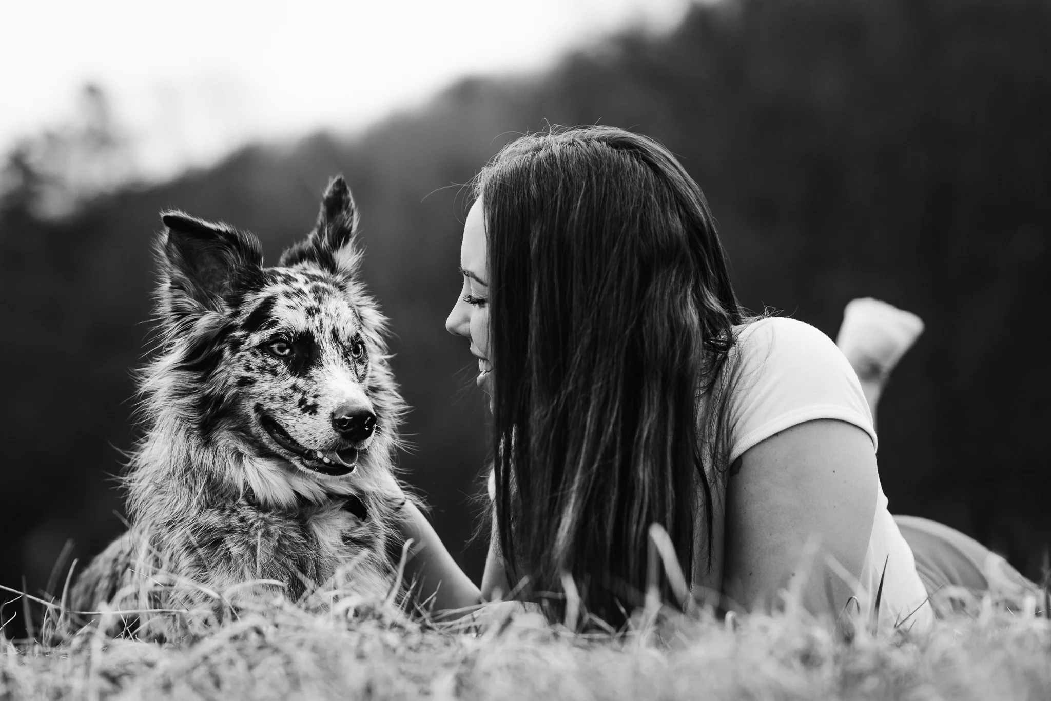 State-College-Pet-Portrait-Photographer-65.jpg
