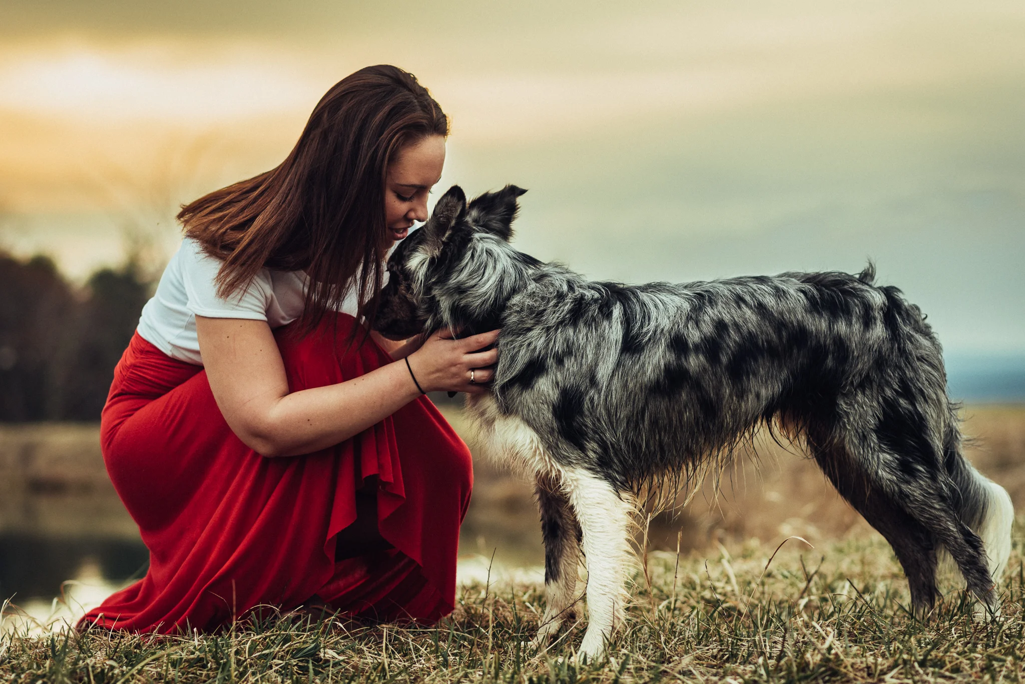State-College-Pet-Portrait-Photographer-95.jpg