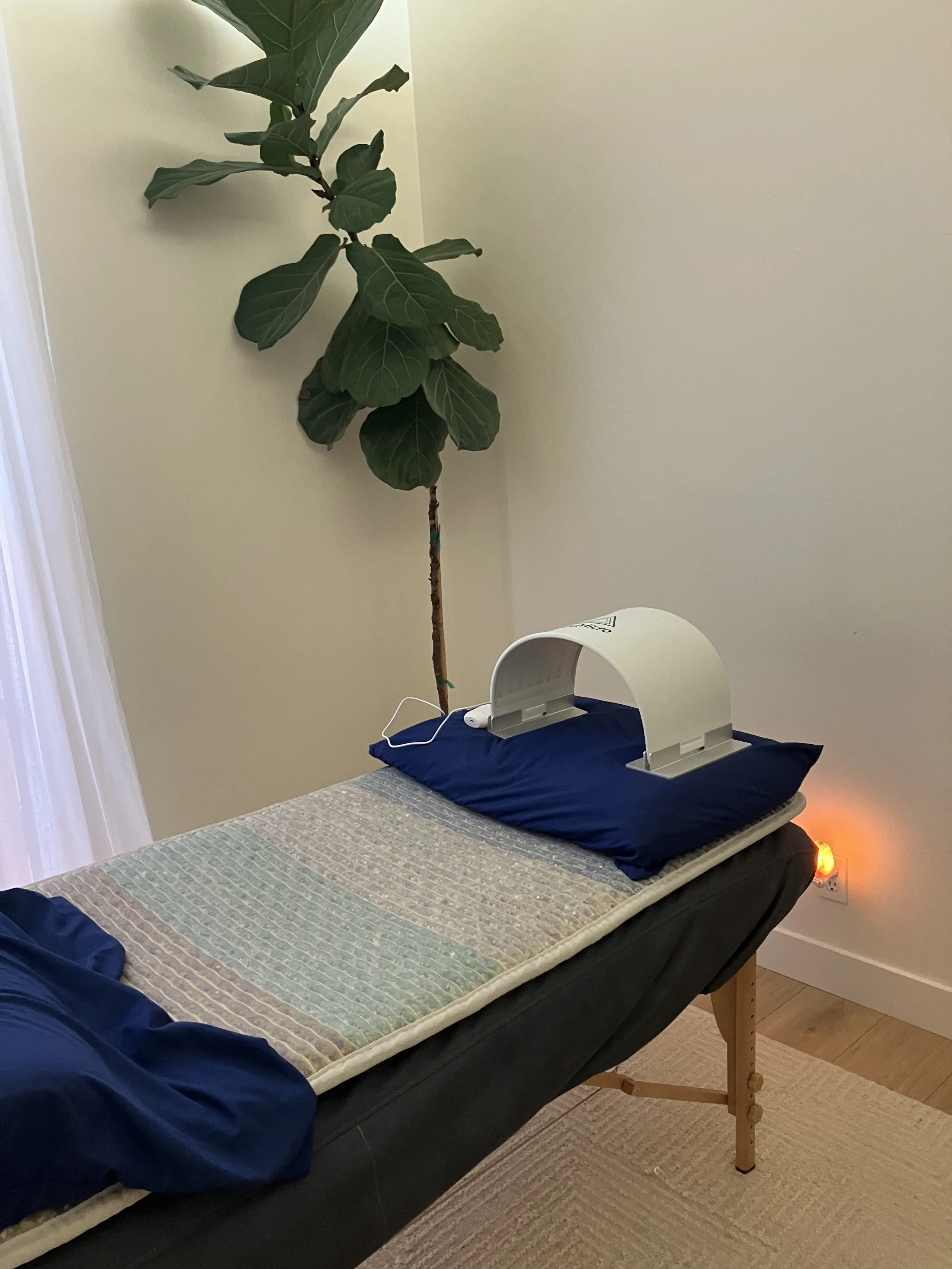 acupuncture treatment room with massage table with crystal infrared mat on massage table blue pillow at head of table with LED light device resting on pillow tall green plant in background