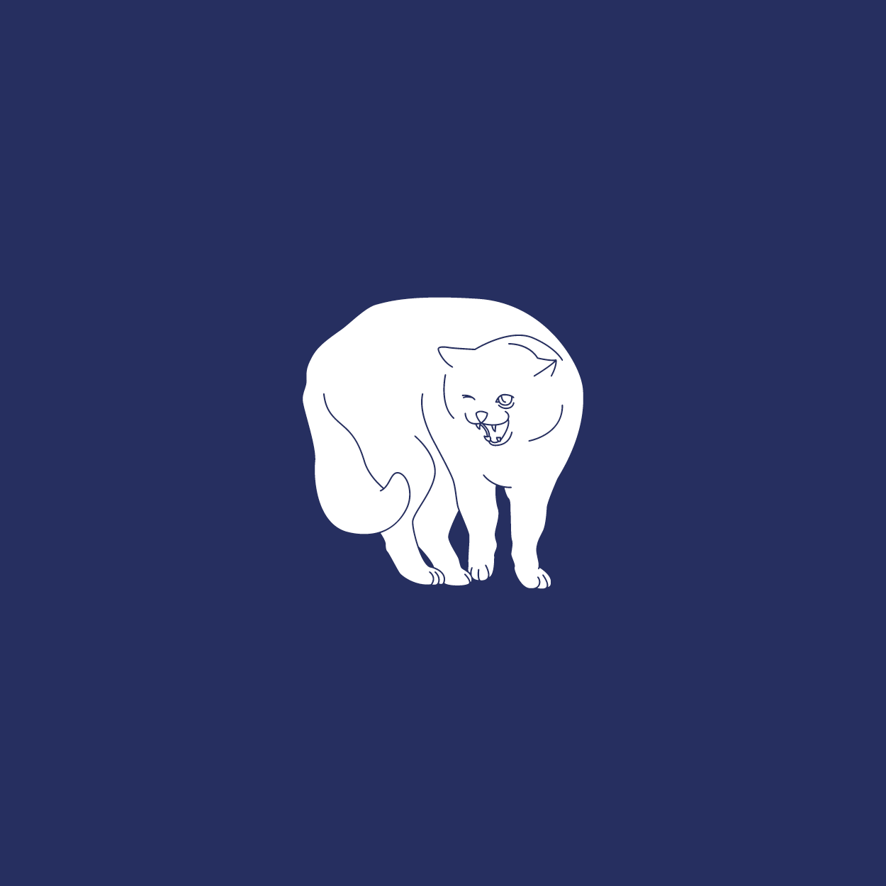 Feral Cat.png