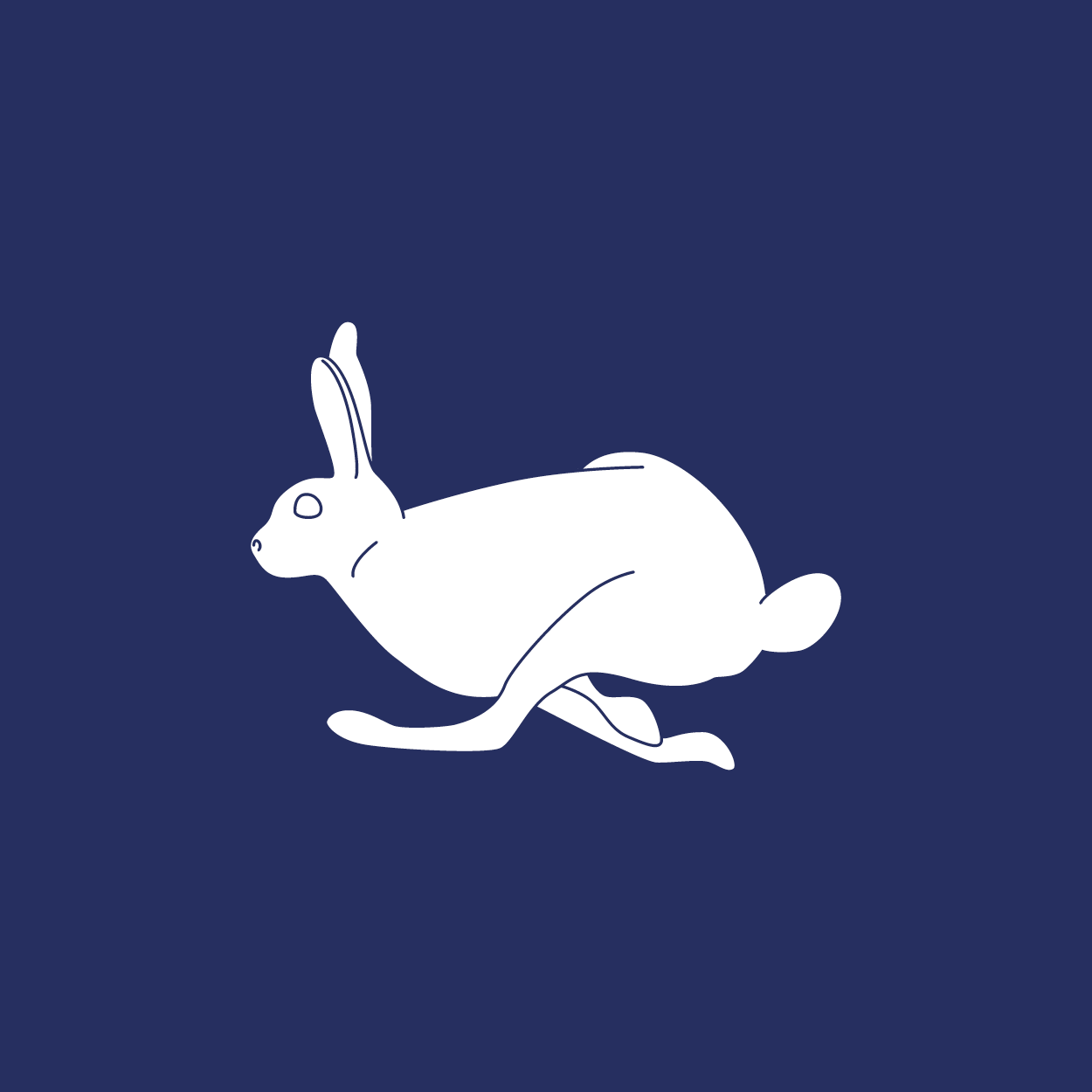 Rabbit.png