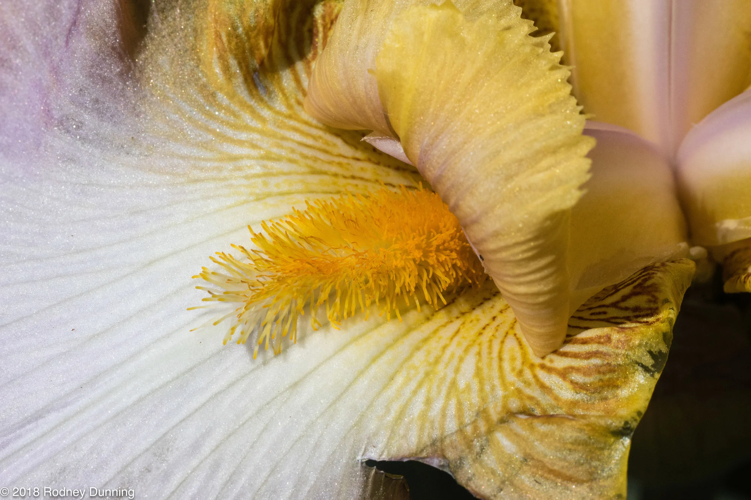 JCRaulstonArboretum-0177.jpg