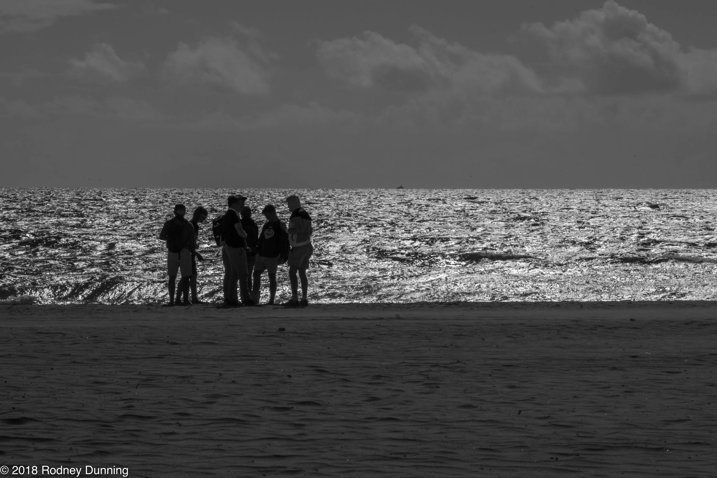 DSC_0172_CURATED.jpg