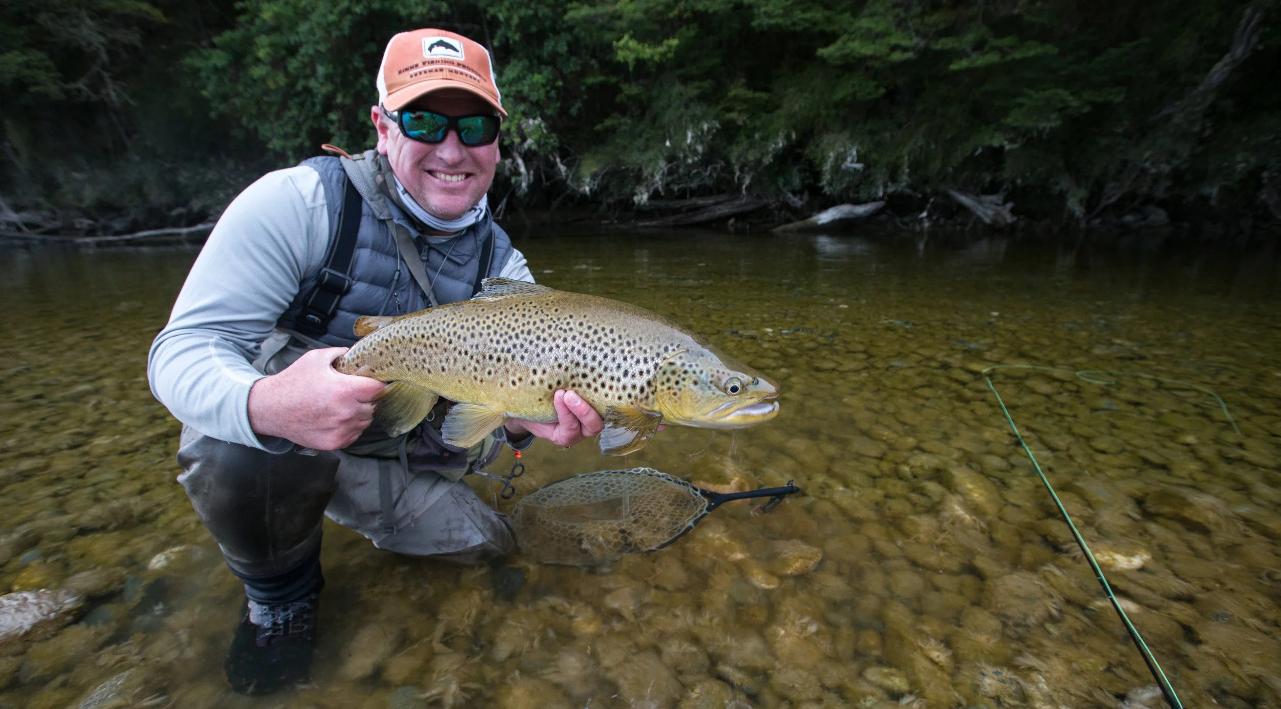 Fish 1 Home Page Pic.jpg