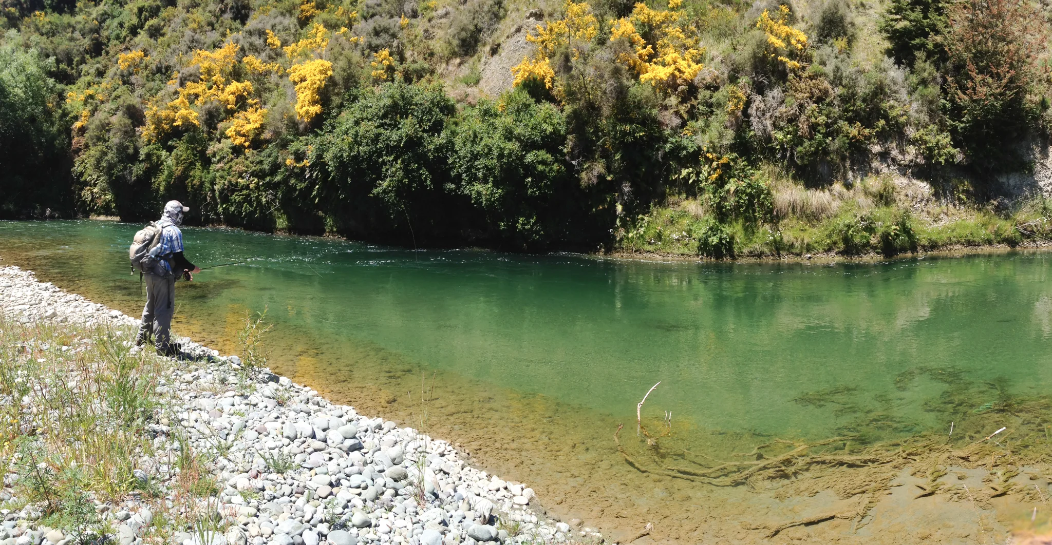 Gin Clear Pool