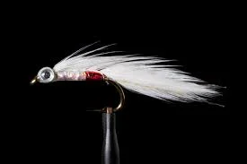 @manictackleproject.com