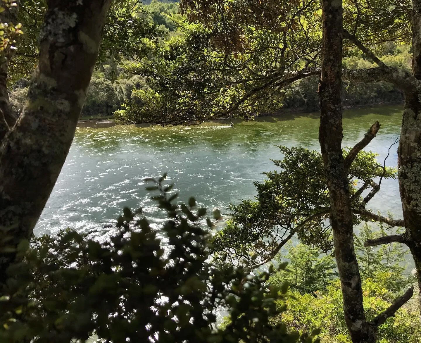 The local tail race. She&rsquo;s a mighty river loaded with fish that can be hard too fool at times. I enjoyed watching this lone angler work his magic. Until I locked my keys in the truck. All sorted glad I renewed my membership last week. 

#tailrace #gincleartravel #dryflyfishing #newzealand #southisland #fiordlandnationalpark #fiordlandfishingguide #teanau #nzaa #mobil
