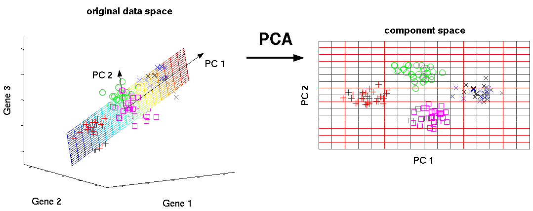 PCA.png