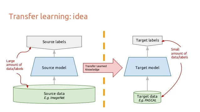 Transfer-Learning.jpg