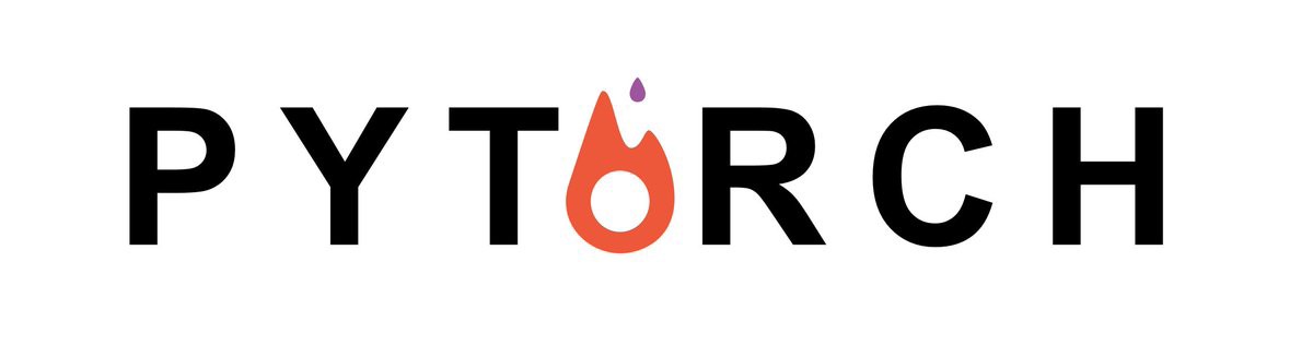 pytorch.jpg