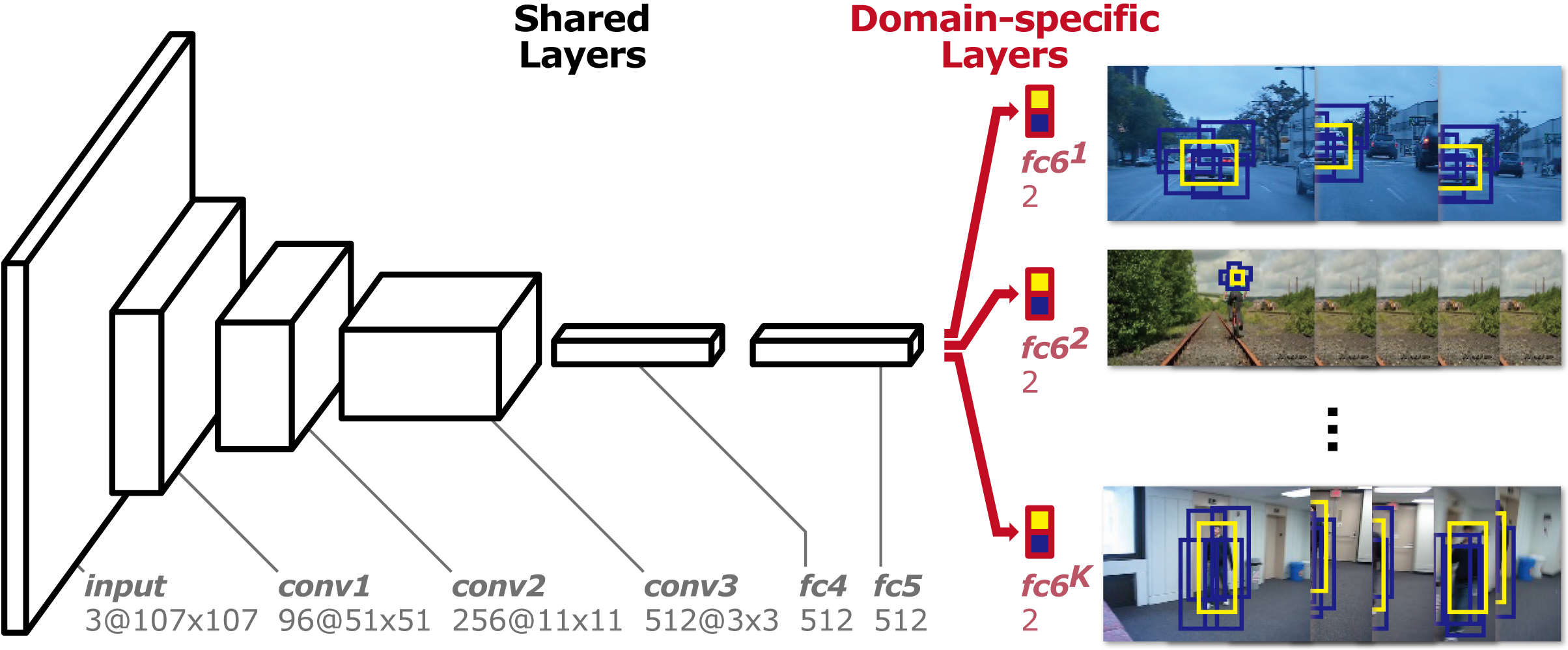 mdnet.jpg