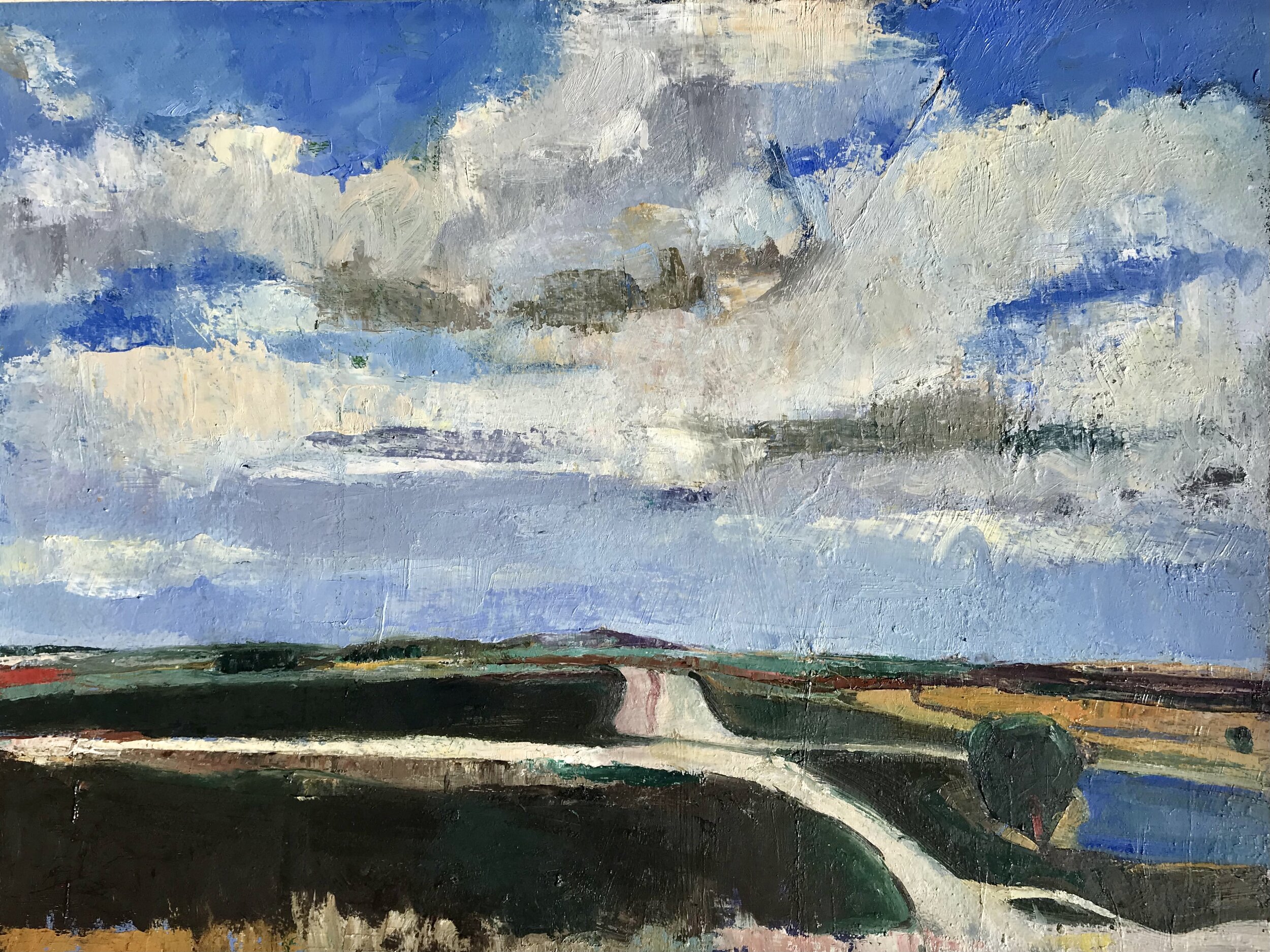 Salinas #4 2021 oil on paper 22” x 30” $800