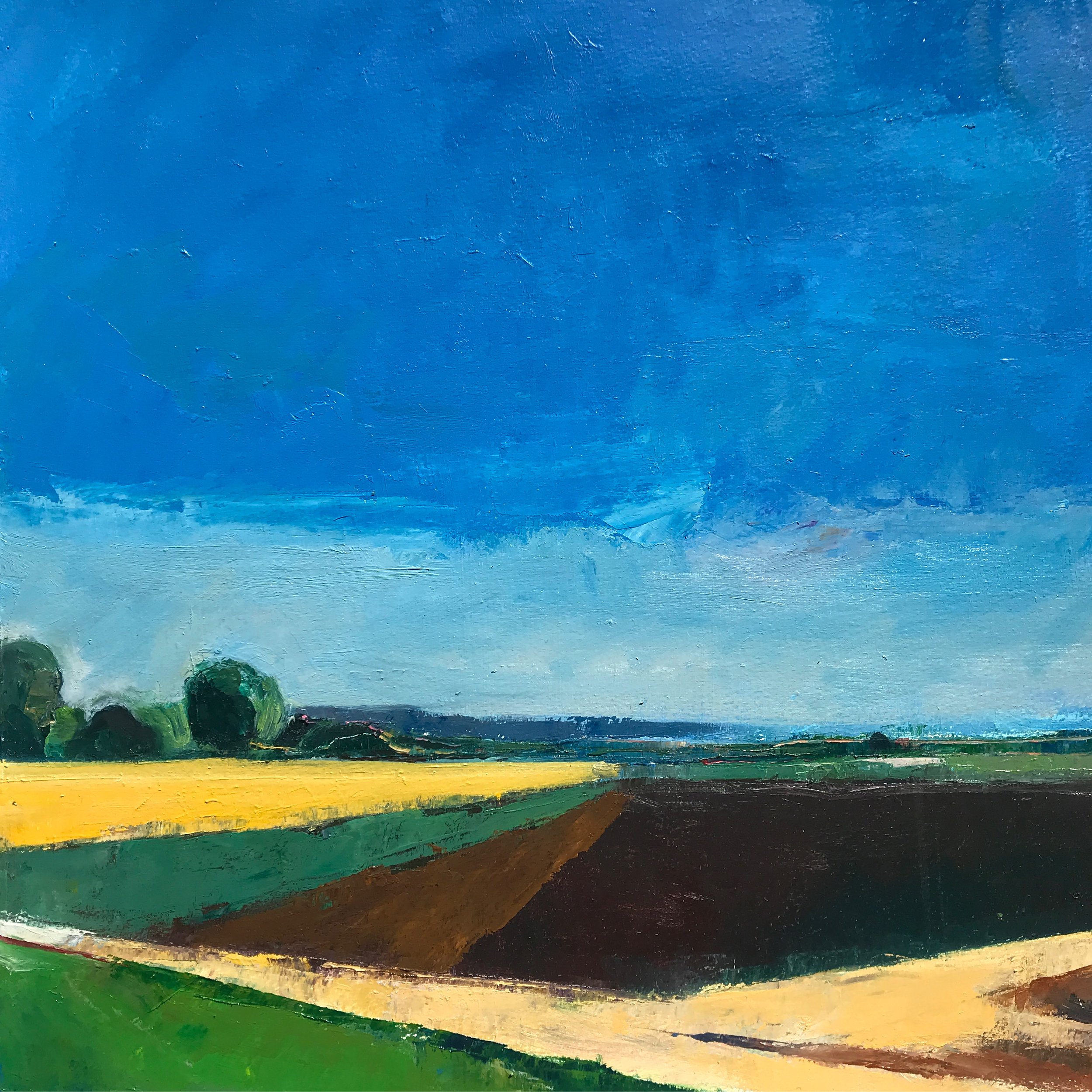 Salinas #2 2022 oil on paper 21 x 22” $400