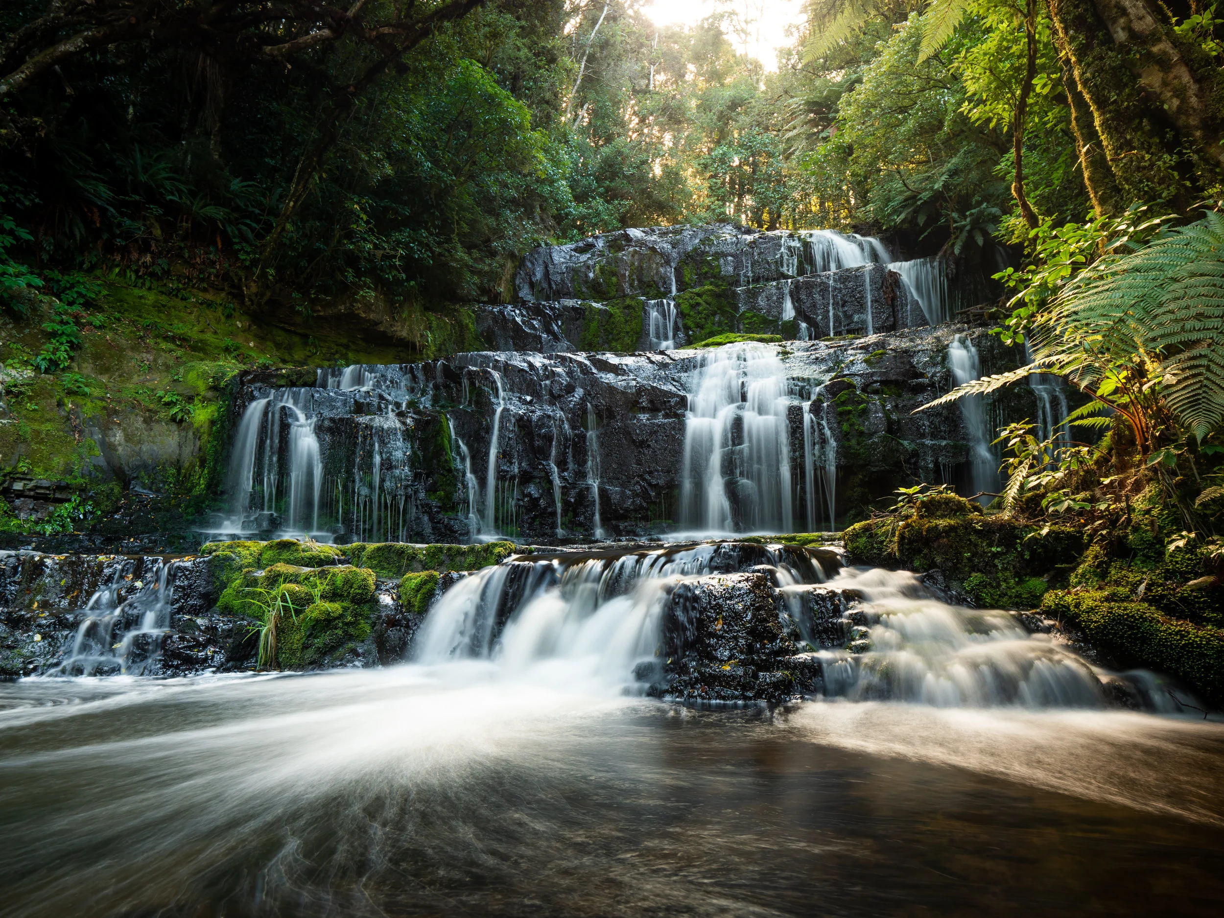 Dunedin1-8.jpg