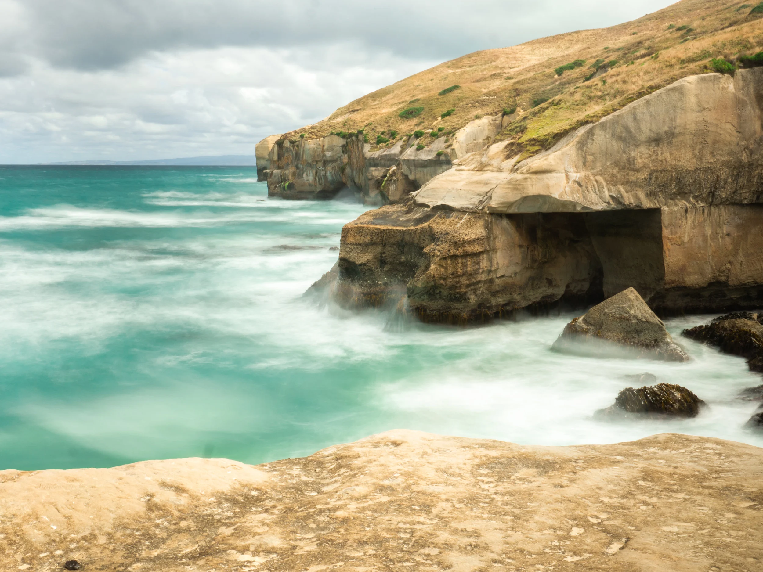 Dunedin1-10.jpg