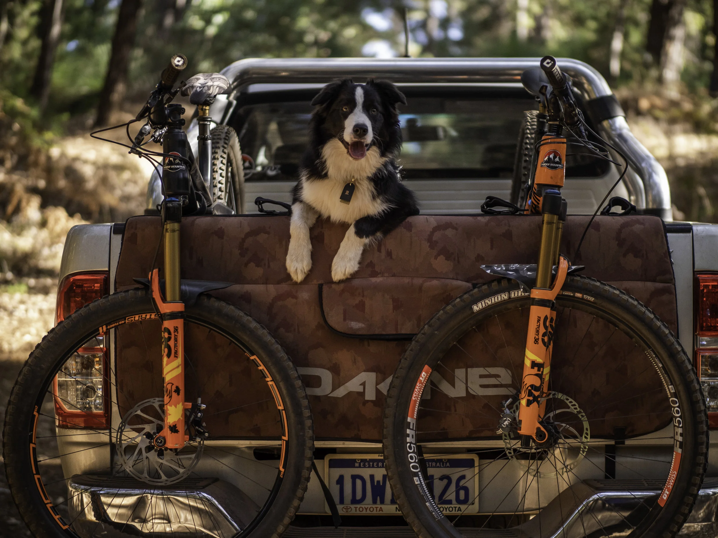 Mundaring Session-36.jpg
