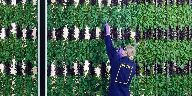 vertical-farm.jpg