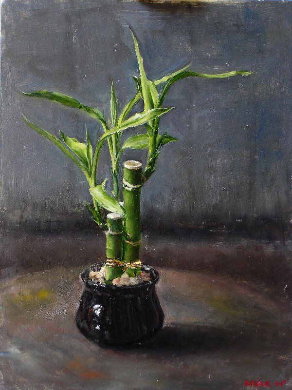 Lucky Bamboo,  9"x12" oil on panel