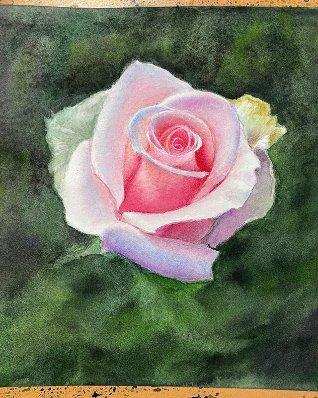 #watercolor #rose #painting #watercolorpainting #flower #art #realism