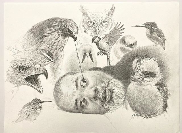 #selfportrait #drawing #draw #birds @themorganlibrary @aslnyc #morganportraits #portraitdrawing #realism #drawingoftheday