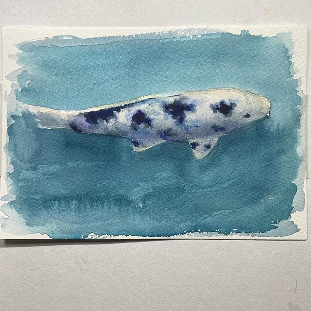 #koi #fish #watercolor #study #painting