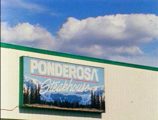 Still from If You Lived Here, You'd Be Home By Now , dir. Diane Bonder (USA, 2001, 15m).