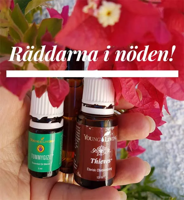 Raddarna-i-noden,-slutgiltig.jpg
