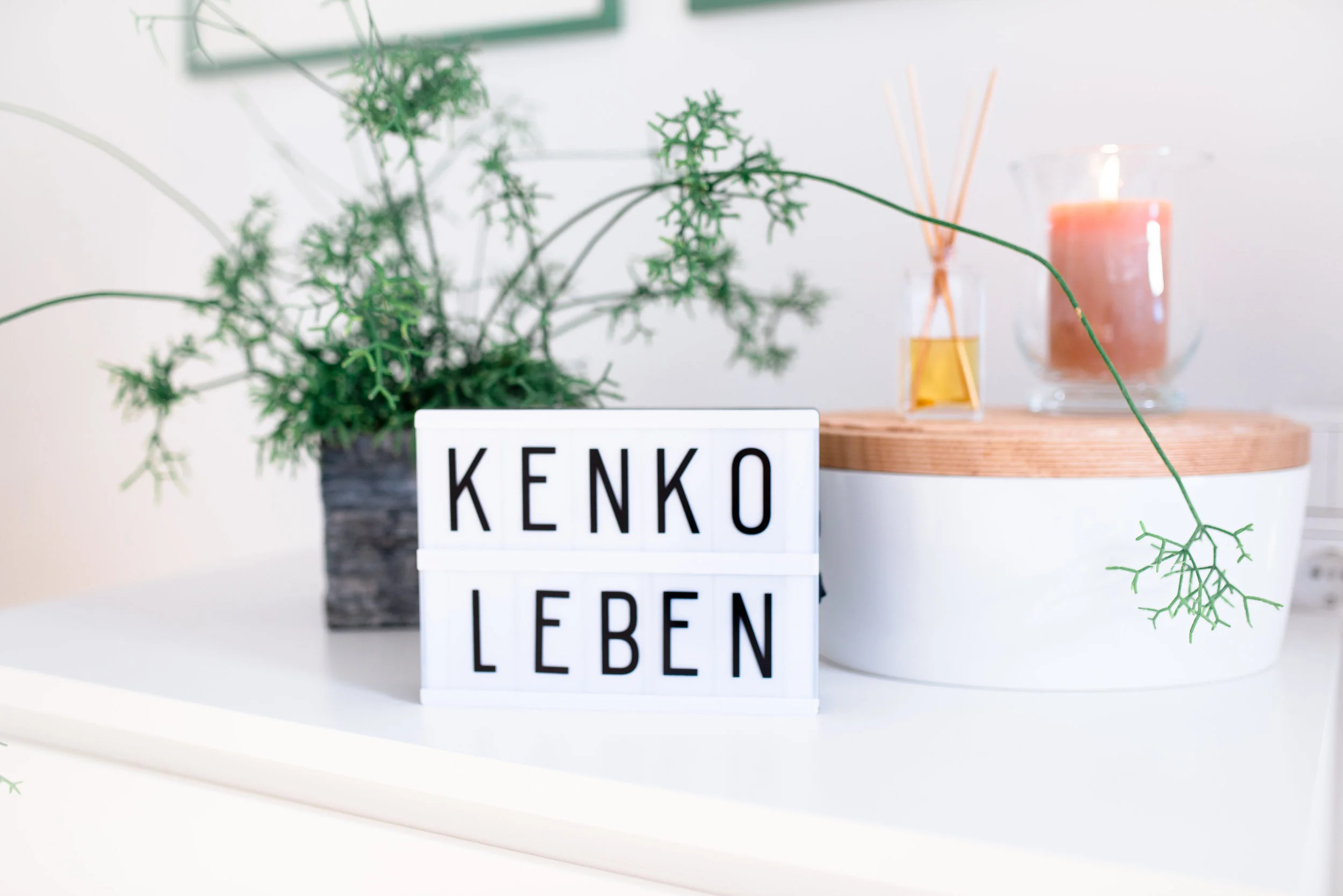 Kenko_-2.jpg