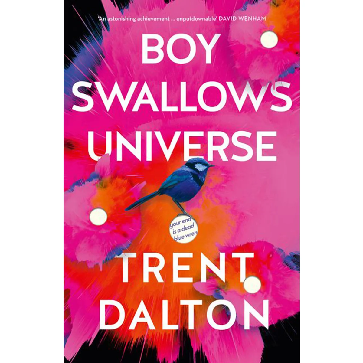 Boys To Men – Boy Swallows Universe Review Part Two and more.
