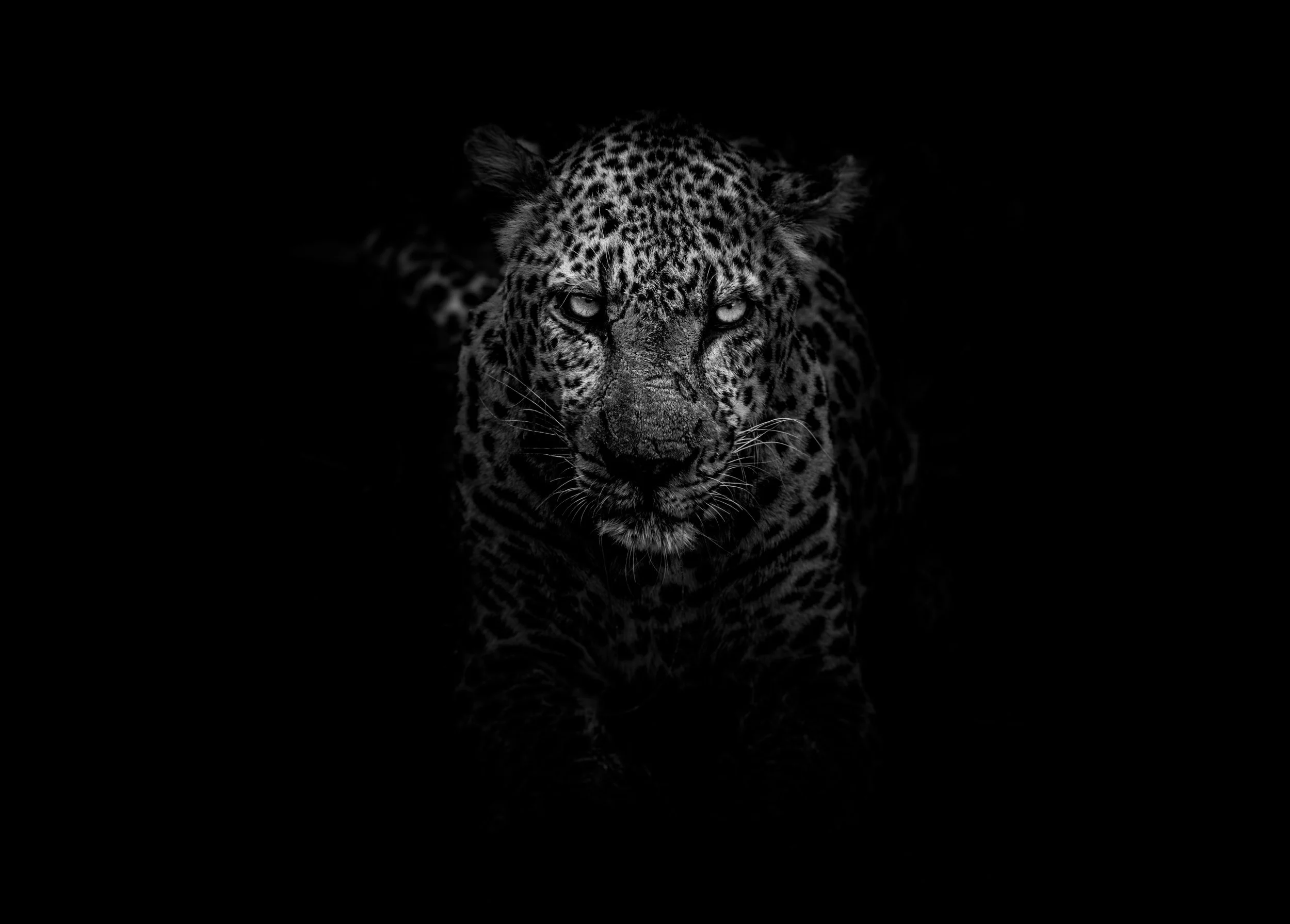 Beast