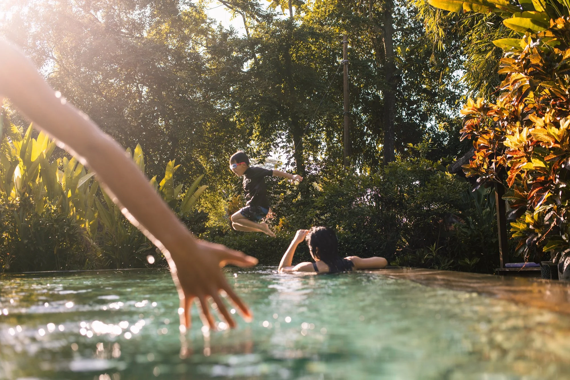 A group of children playing and jumping into a backyard pool surrounded by lush trees and tropical plants, with sunlight filtering through the foliage.
