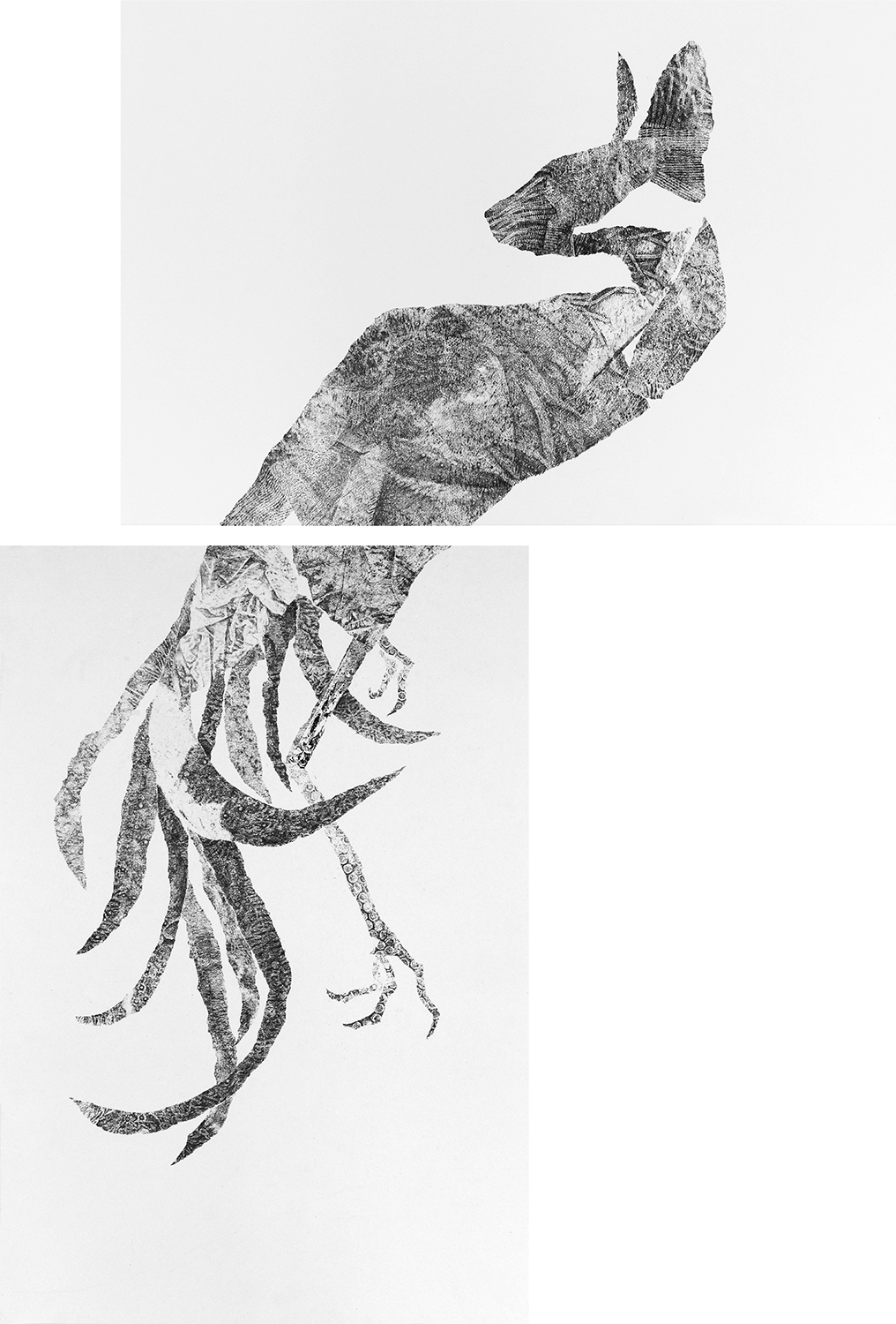 INAPPROPRIATE DIVISION Diptych, 90 x 60 cm each (105 x 150 cm total). Carbon monotype &amp; pencil on paper.