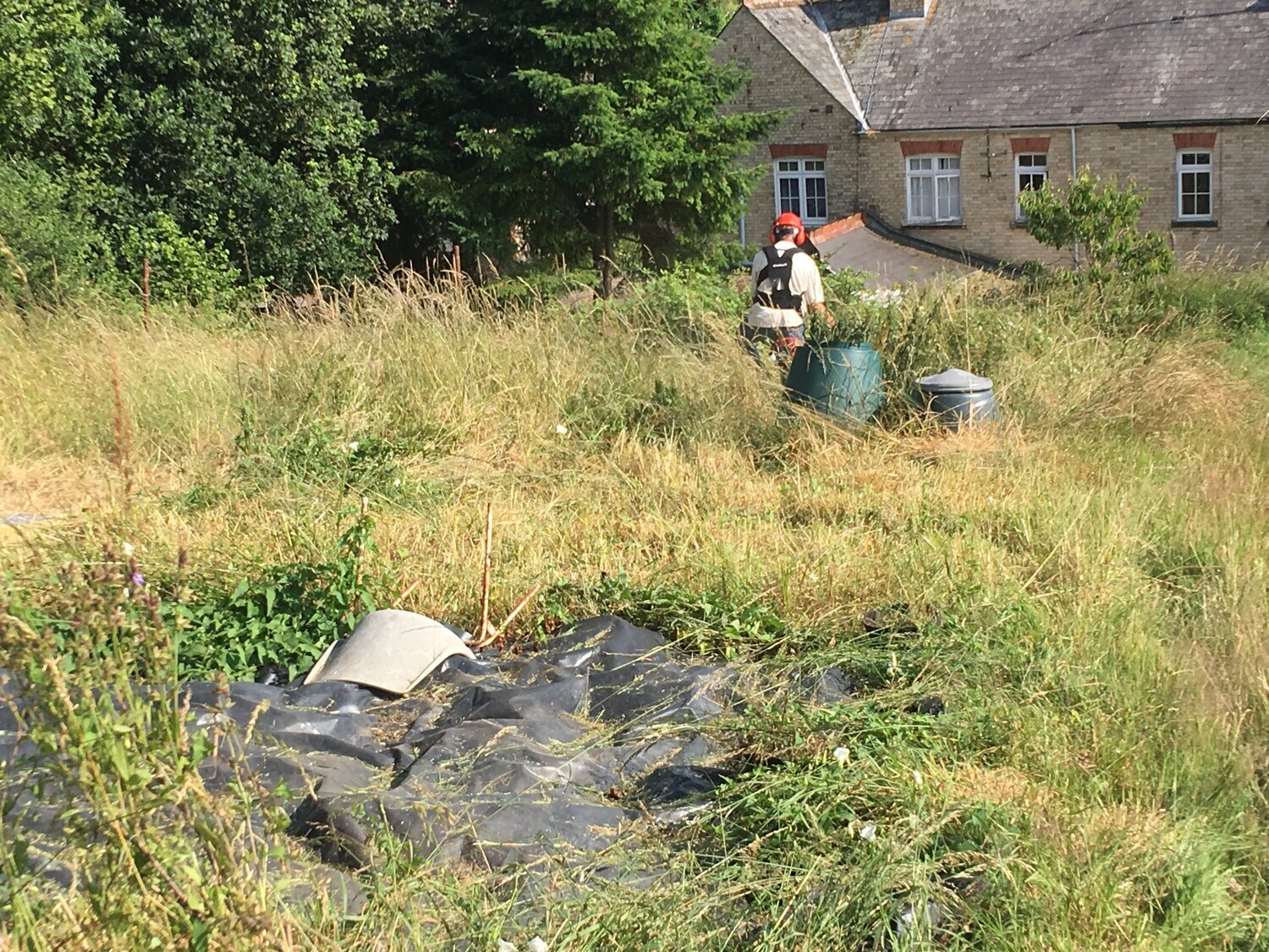 Our Community Allotment