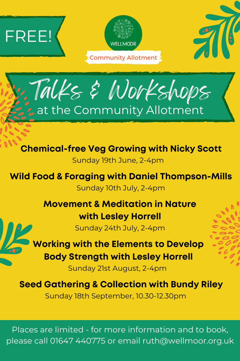 Talks &amp; Workshops, at the Community Allotment!