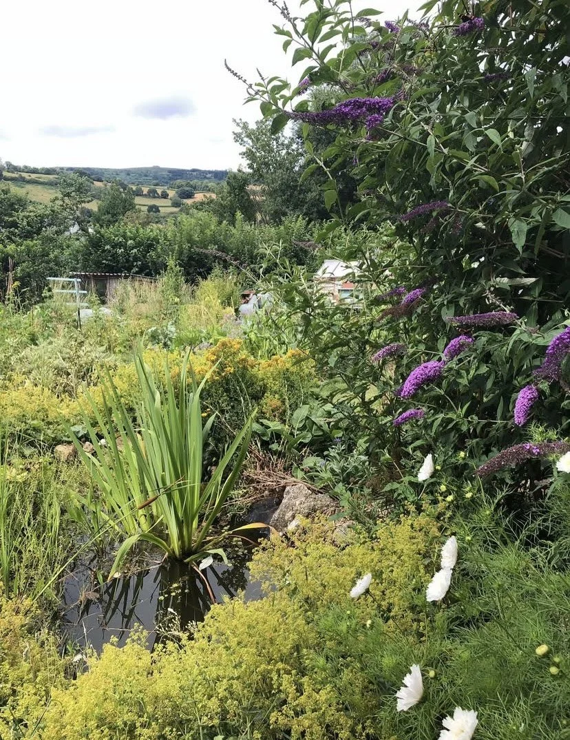 Chagford Community Allotment - Working Parties