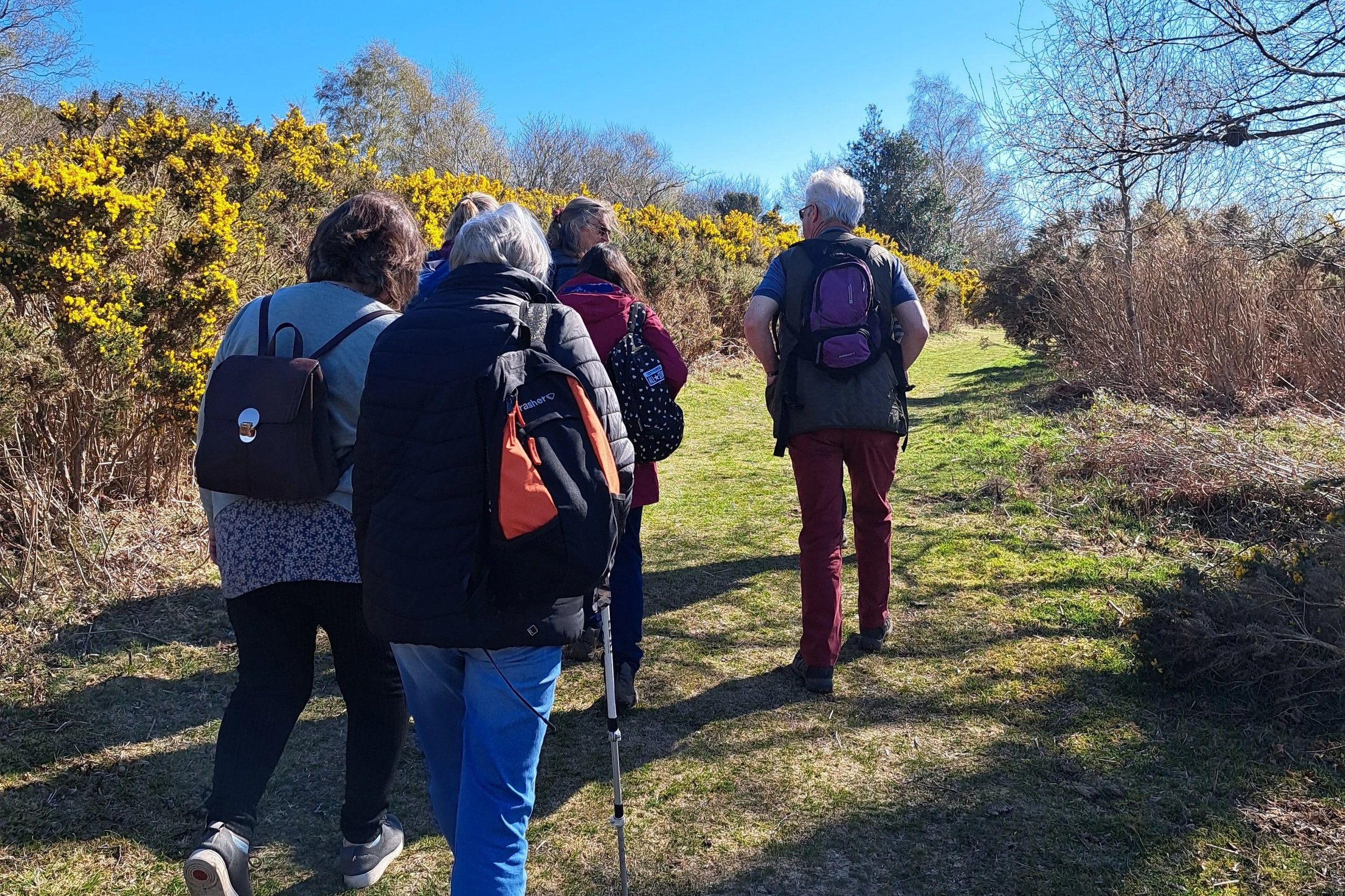 Wellbeing Walks - Chagford