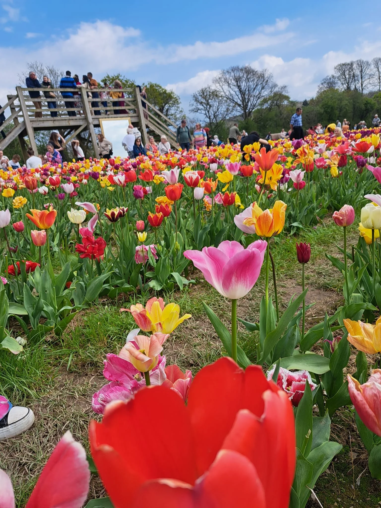 Moreton in May