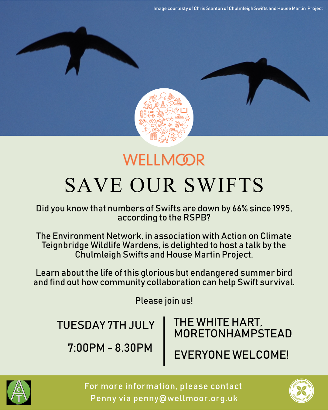 Talk - Save our Swifts