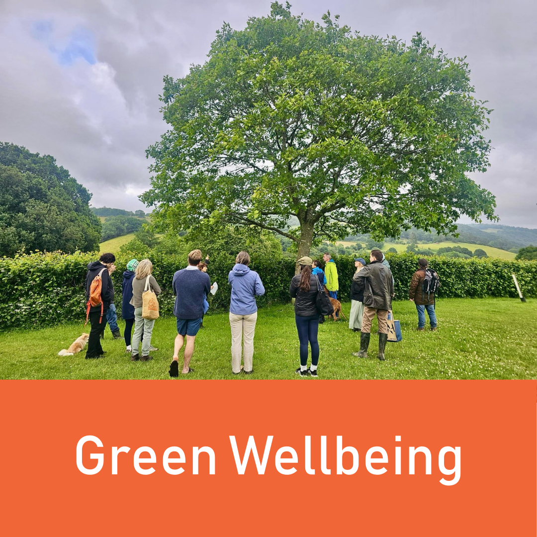 Website Icons (5).png